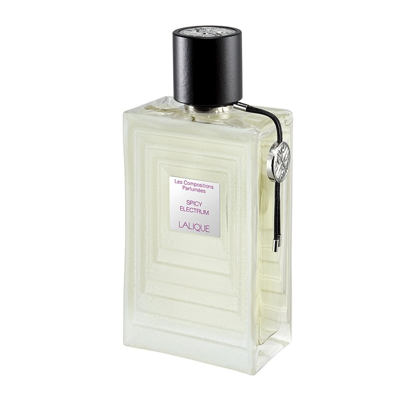 Spicy Electrum EDP 100 ml